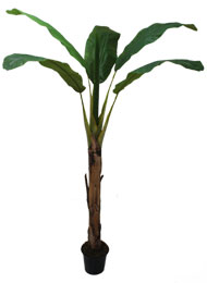 Bananeira Artificial - Com 1,80 M De Altura * Tronco Natural E Folhas De Poliéster Aramadas.
